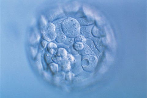http://nanning.quanwangkm.com/post/190.html|南宁人工试管