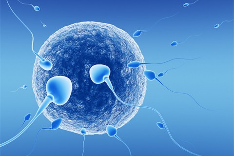 http://nanning.quanwangkm.com/post/218.html|南宁新闻中心